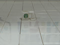 Starbucks Mug - White