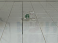 Starbucks Mug - Trans-Clear